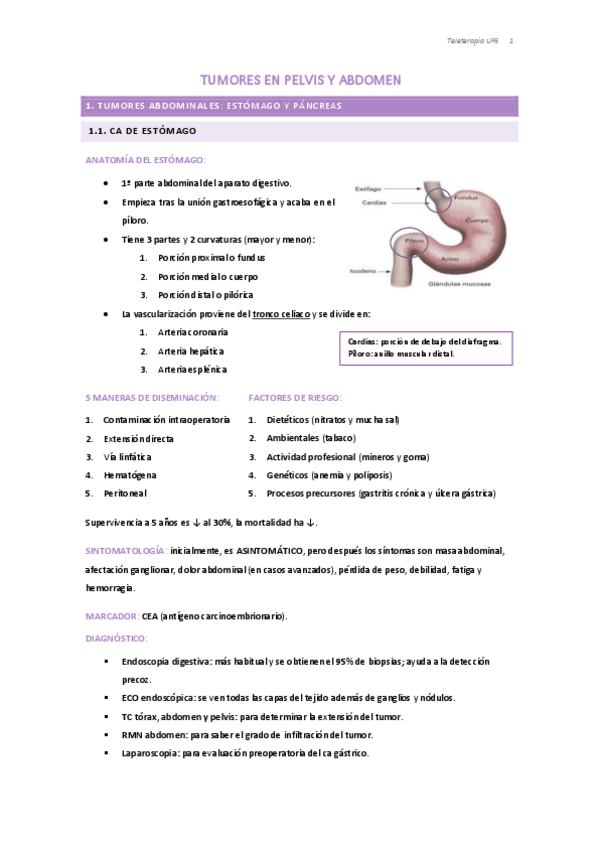 Miniatura del documento Apuntes-Tele-UF6.pdf