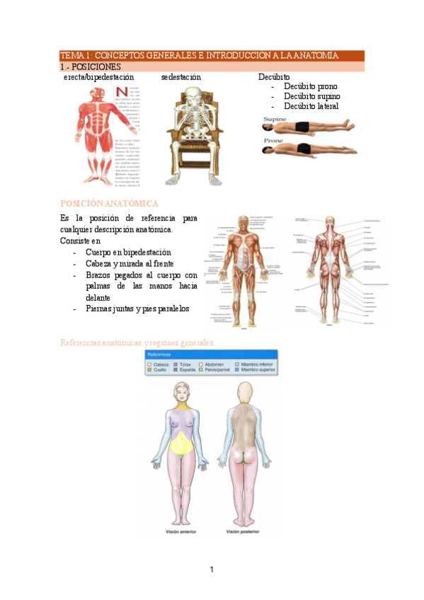 Miniatura del documento TEMA-1.pdf