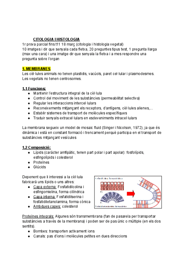 Miniatura del documento Cito vegetal T1-6.pdf