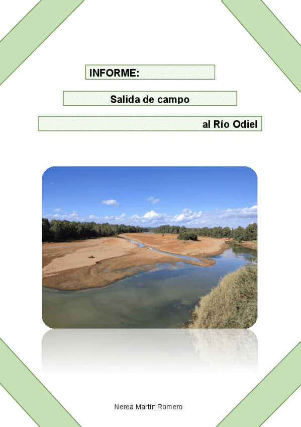 Miniatura del documento Informe-Rio-Odiel.pdf