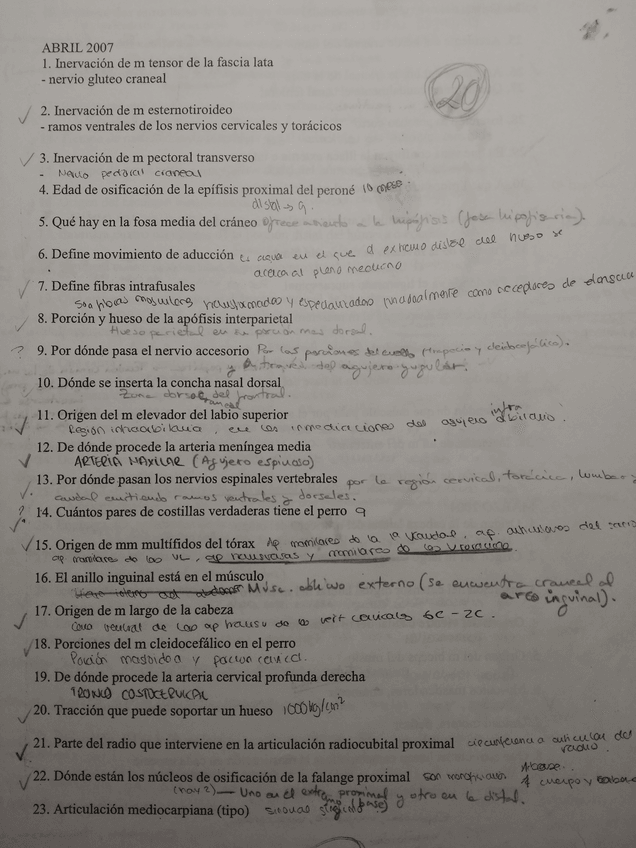 Miniatura del documento 1.jpg