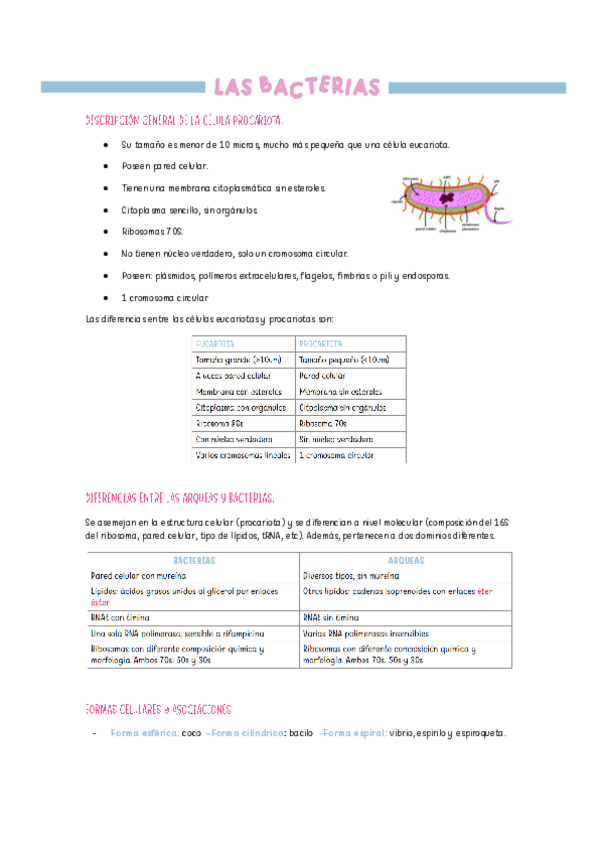 Miniatura del documento TEMA-2-MICROBIOLOGIA.pdf