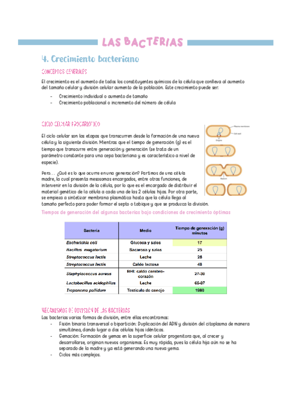 Miniatura del documento TEMA-4-MICRO.pdf