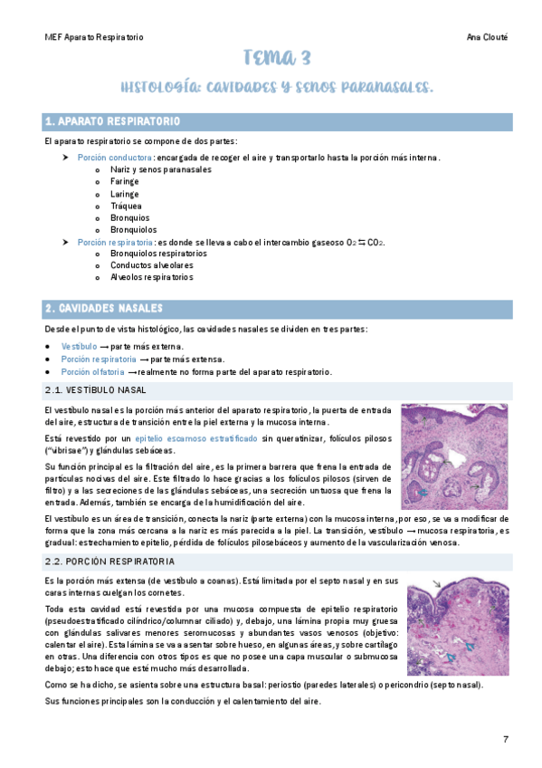 Miniatura del documento Tema-3.pdf