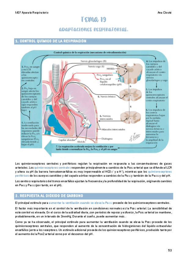 Miniatura del documento Tema-19.pdf