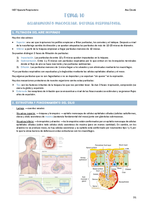 Miniatura del documento Tema-10.pdf