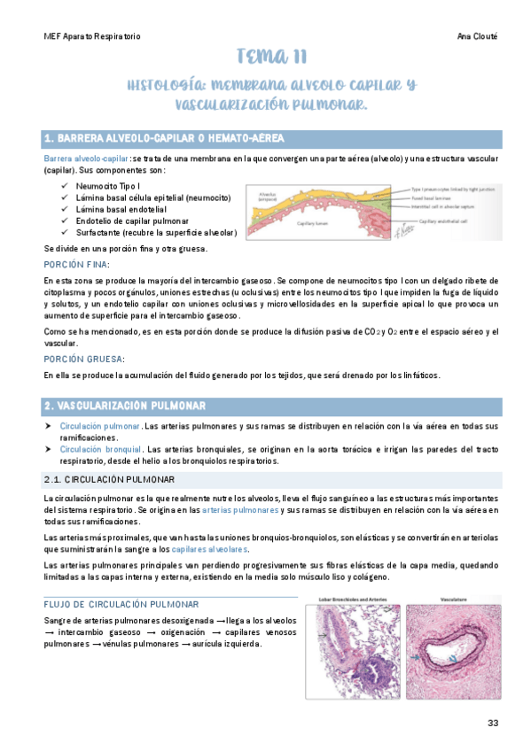 Miniatura del documento Tema-11.pdf