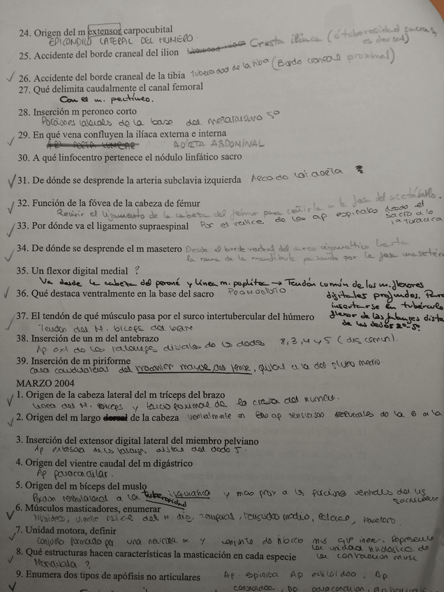 Miniatura del documento 2.jpg