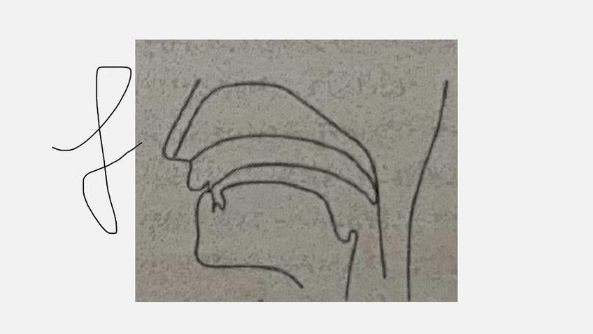 Miniatura del documento Fonetica-y-fonologia.pdf