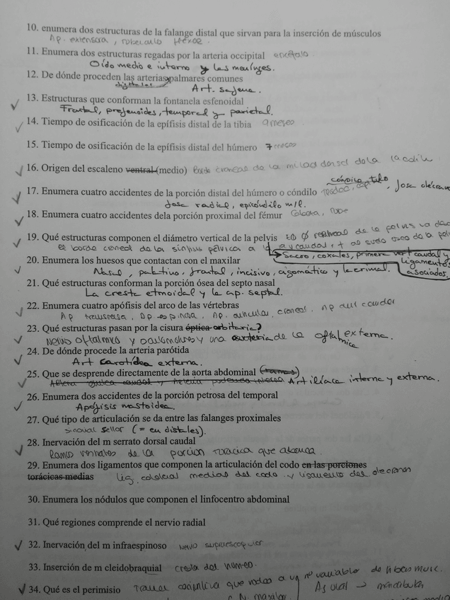 Miniatura del documento 3.jpg