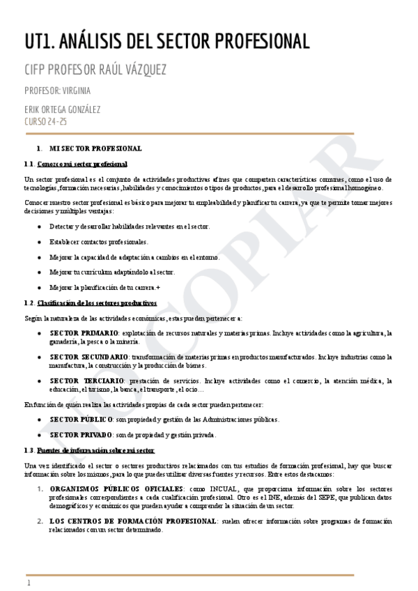 Miniatura del documento UT1.-EL-SECTOR-PROFESIONAL.pdf