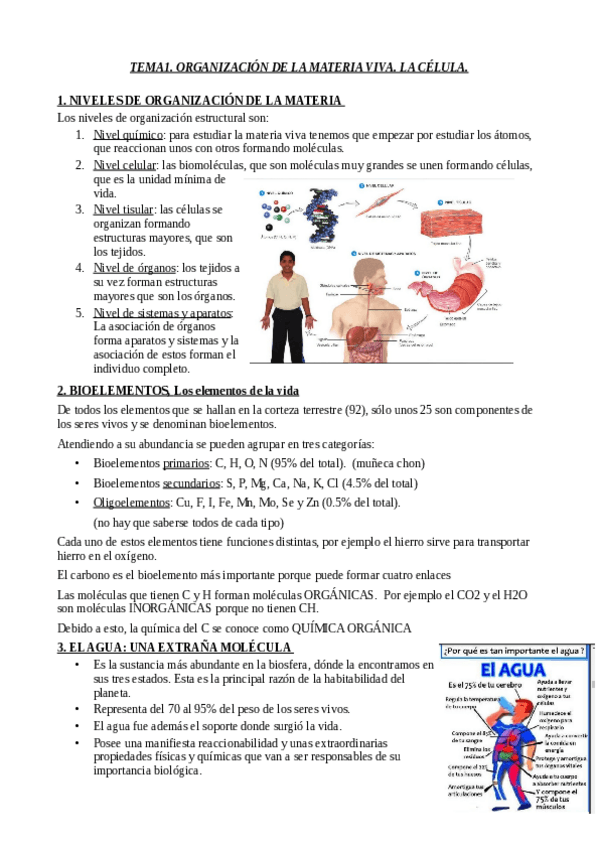 Miniatura del documento TEMA-1.pdf