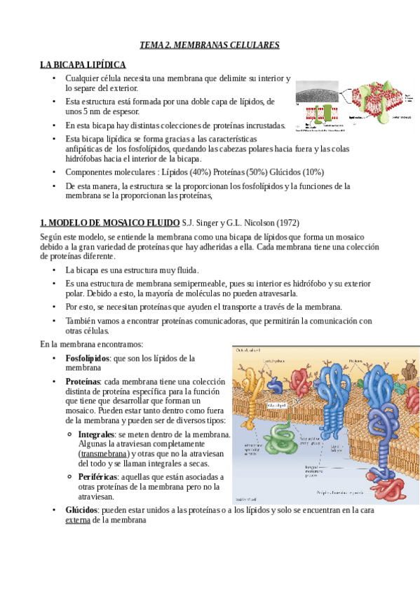 Miniatura del documento TEMA-2.pdf