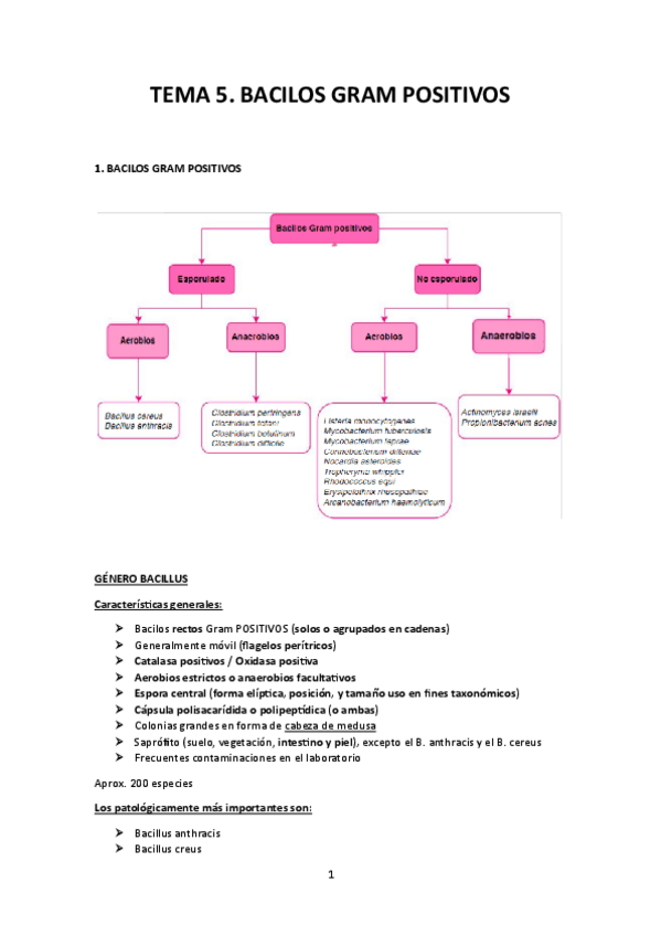 Miniatura del documento TEMA-5.pdf