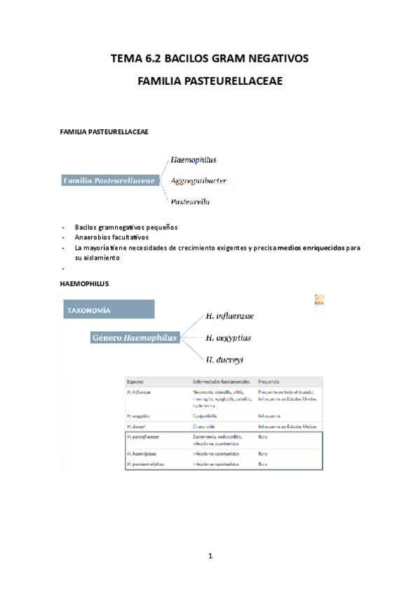 Miniatura del documento TEMA-6.2.pdf