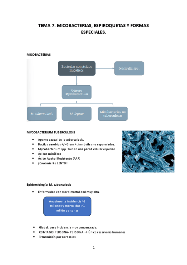 Miniatura del documento TEMA-7.pdf