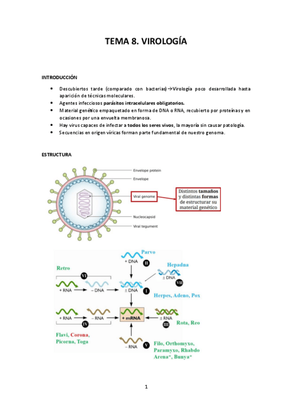 Miniatura del documento TEMA-8.pdf