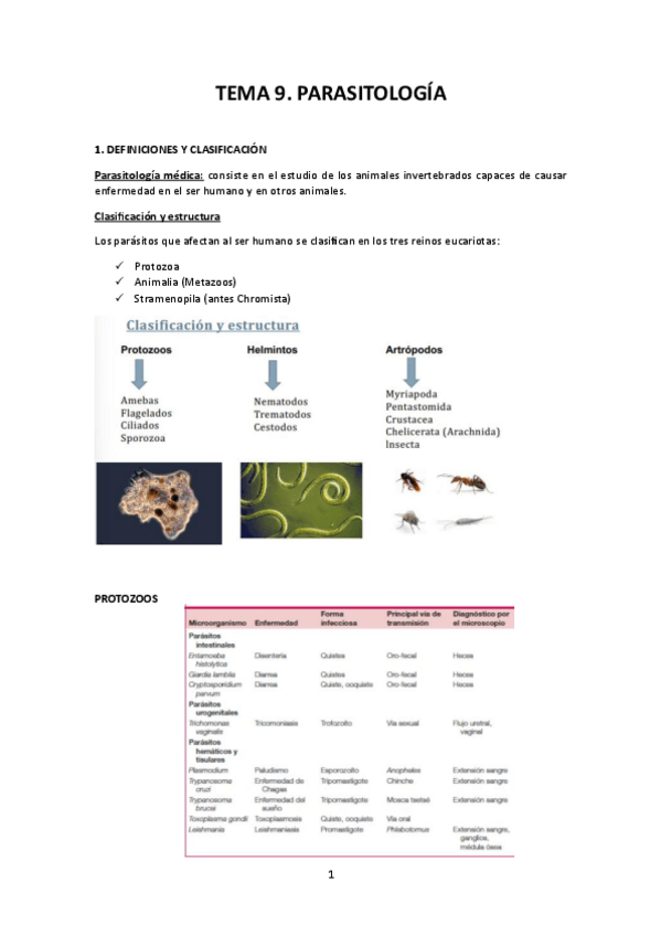Miniatura del documento TEMA-9.pdf