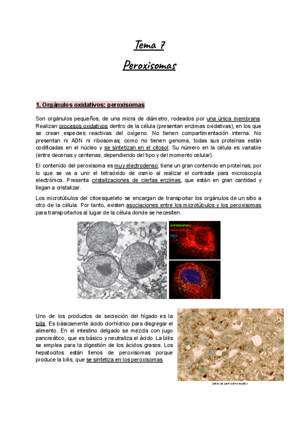 Miniatura del documento Apuntes-Tema-7-BioCel-I-Peroxisomas.pdf