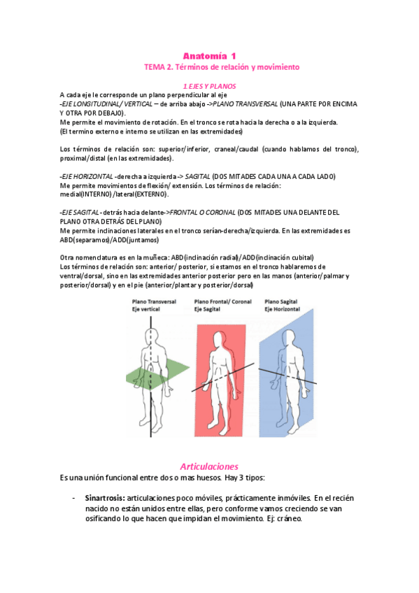 Miniatura del documento Anatomia-1-parte-osea.pdf