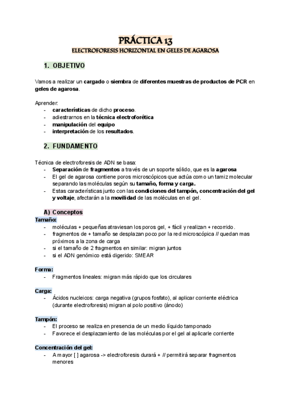 Miniatura del documento Electroforesis-horizontal-en-geles-de-agarosa.pdf