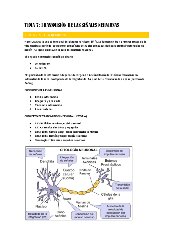 Miniatura del documento TEMA-7-FISIO.pdf