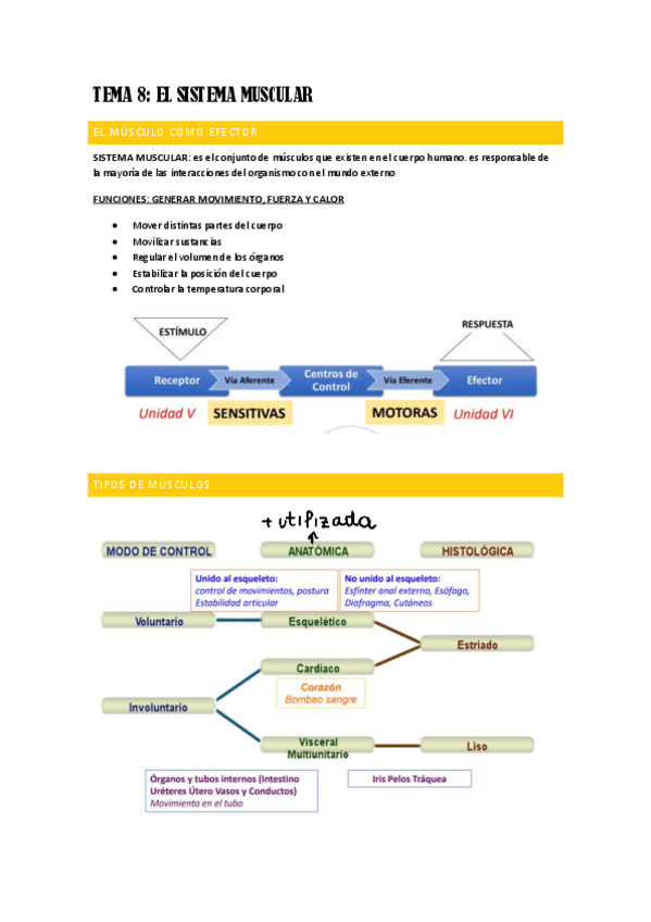 Miniatura del documento TEMA-8-FISIO.pdf