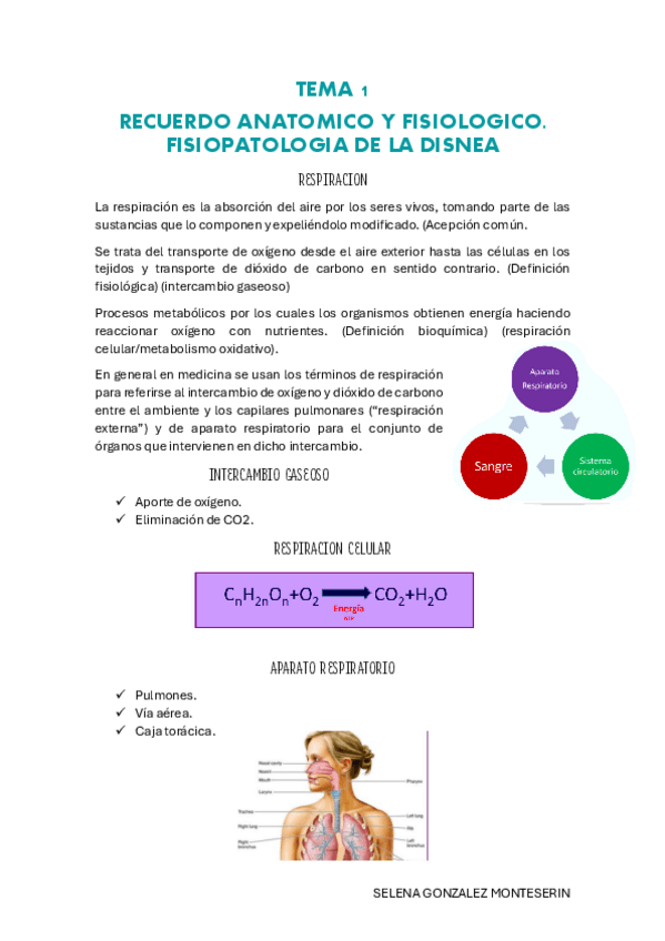 Miniatura del documento TEMA-1-pdf.pdf