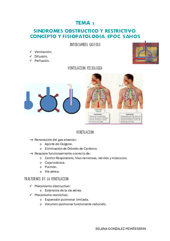 Miniatura del documento TEMA-3-pdf.pdf