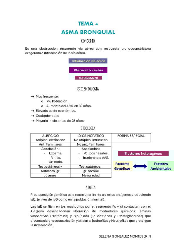 Miniatura del documento TEMA-4-pdf.pdf