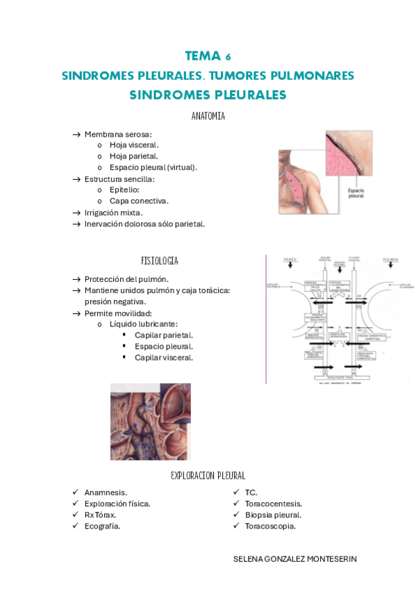 Miniatura del documento TEMA-6-pdf.pdf