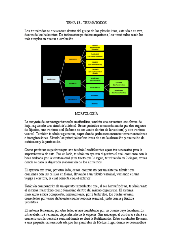 Miniatura del documento Tema-13.-Trematodos.pdf