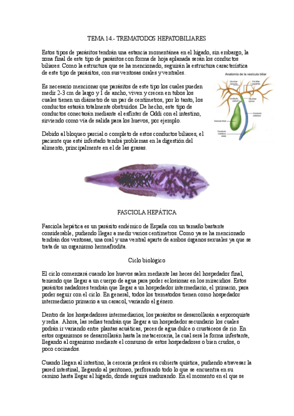 Miniatura del documento Tema-14.-Trematodos-hepatobiliares.pdf