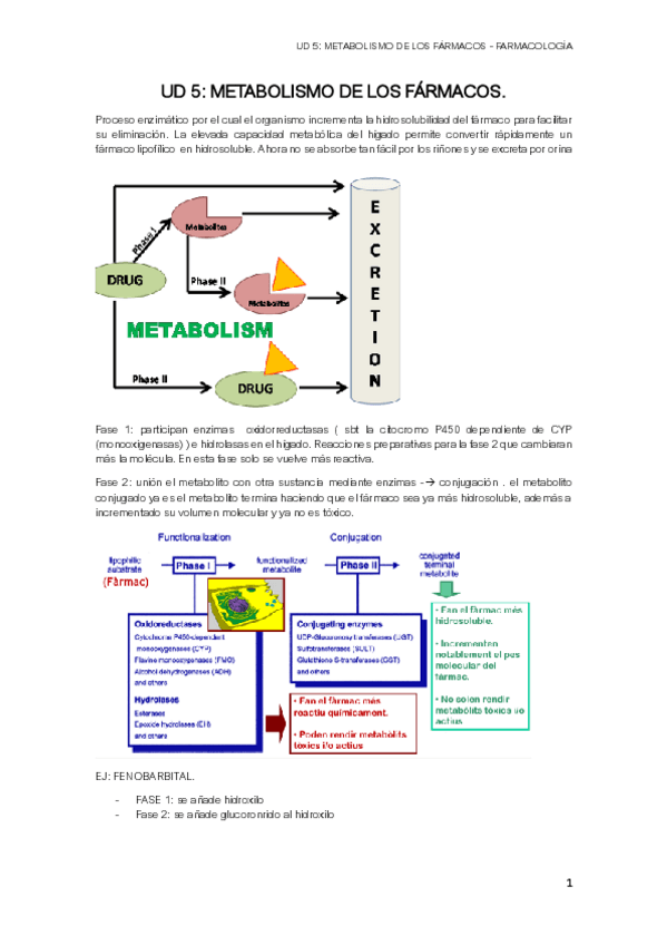 Miniatura del documento UD-5-METABOLISMO-DE-LOS-FARMACOS.pdf
