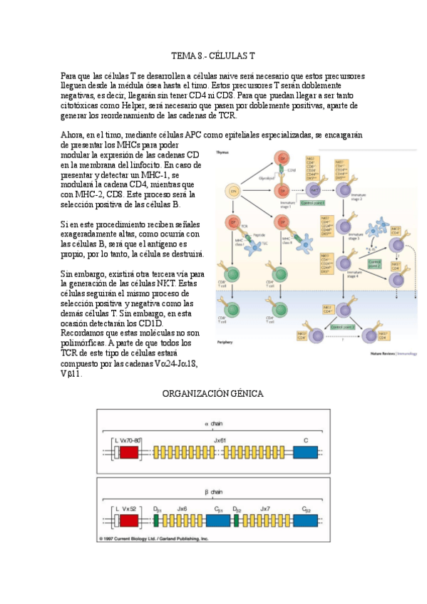Miniatura del documento Tema-8.-Celulas-T.pdf