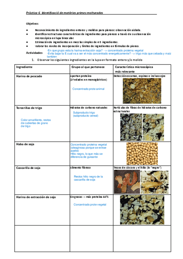 Miniatura del documento practica6..pdf