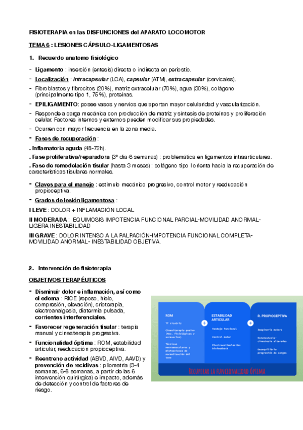 Miniatura del documento TEMA-6-DISFUNCIONES.pdf