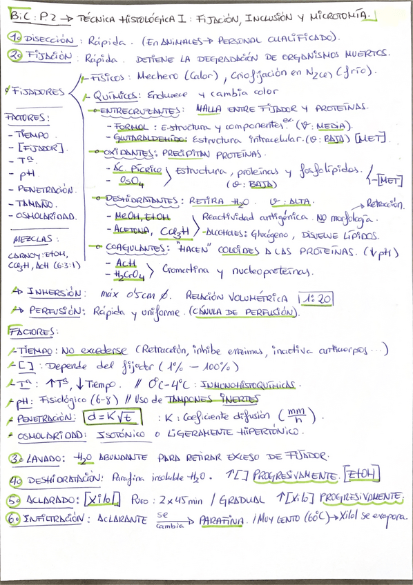 Miniatura del documento Practica-2.pdf