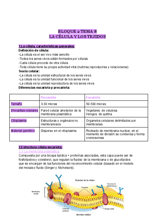 Miniatura del documento LA-CELULA-Y-LOS-TEJIDOS.pdf