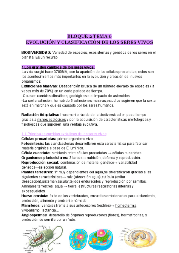 Miniatura del documento evolucion-y-clasificacion-de-los-seres-vivos.pdf