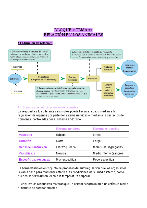 Miniatura del documento RELACION-EN-LOS-ANIMALES.pdf