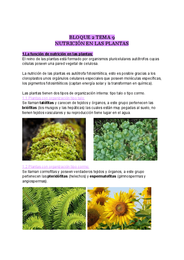Miniatura del documento NUTRICION-EN-LAS-PLANTAS.pdf