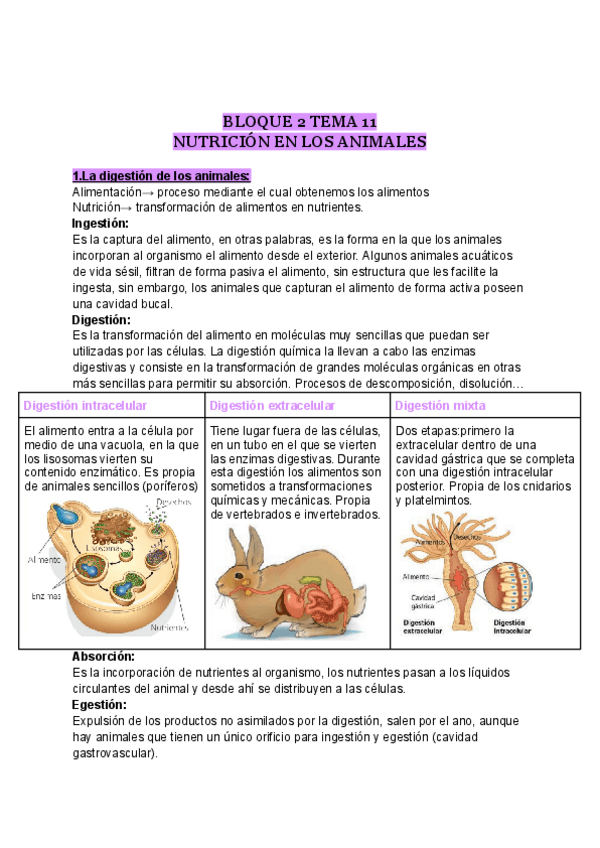 Miniatura del documento NUTRICION-EN-LOS-ANIMALES.pdf