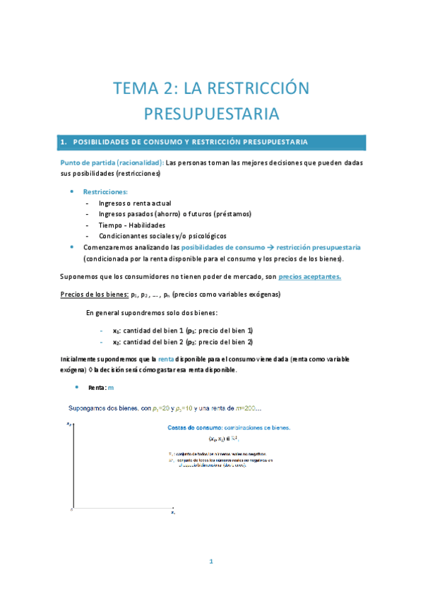Miniatura del documento TEMA-2-RESTRICCION-PRESUPUESTARIA.pdf