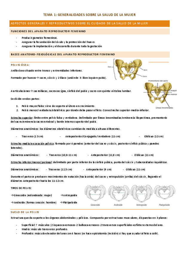 Miniatura del documento Temario-Mujer-completo.pdf