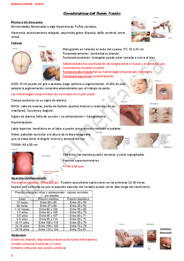Miniatura del documento Clase-8-Caracteristicas-y-cuidados-del-Recien-Nacido.pdf