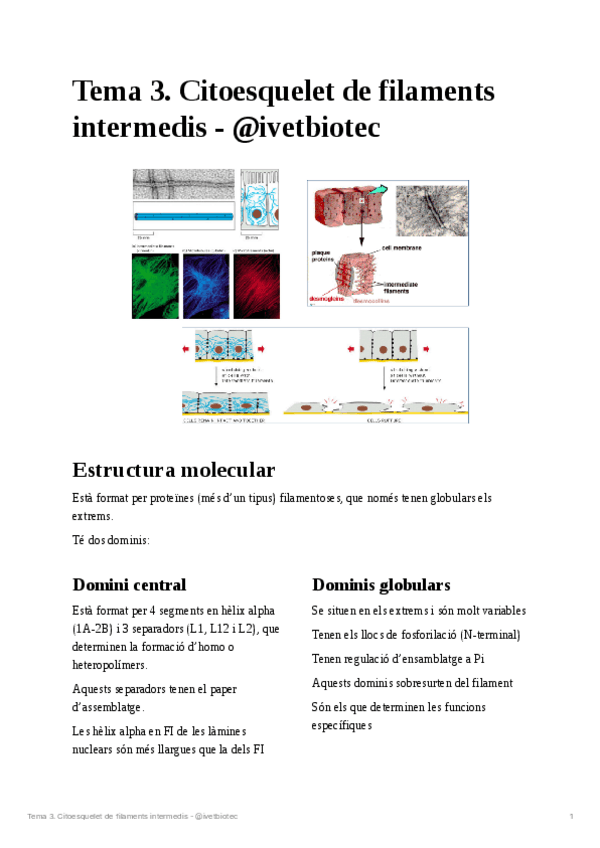 Miniatura del documento Tema-3Biologia-cellular.pdf