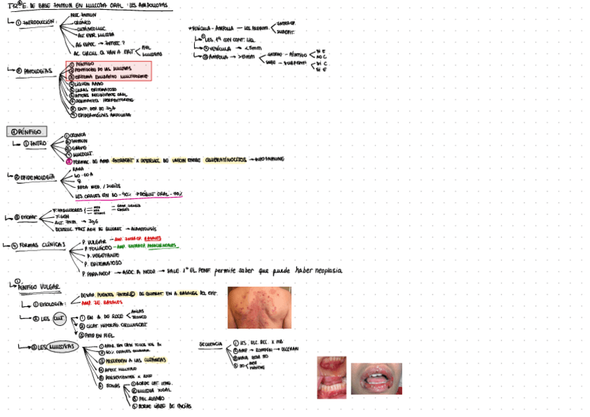 Miniatura del documento tema-12-II.pdf