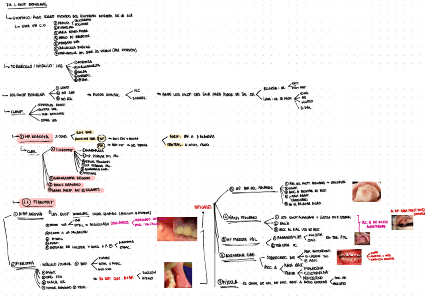 Miniatura del documento t13.pdf