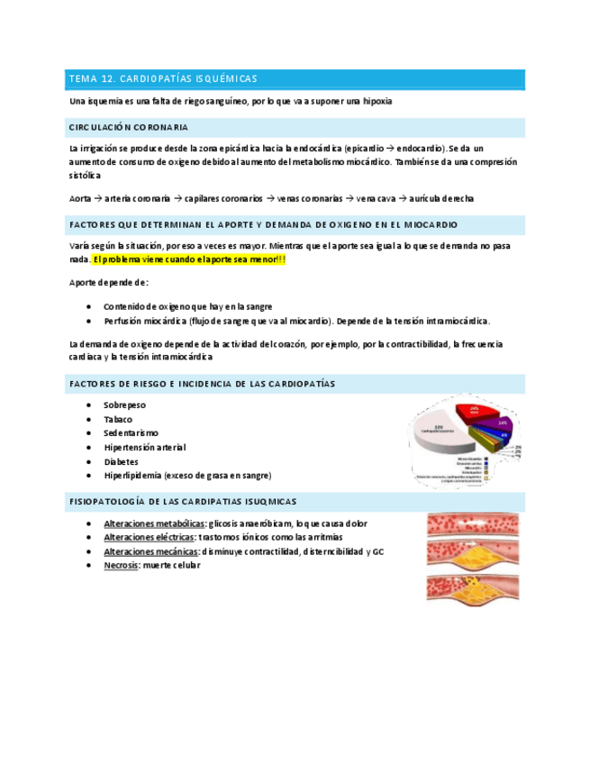 Miniatura del documento Tema-12-fisiopatologia.pdf
